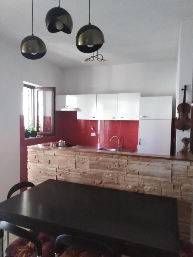 Apartman Irena With Terase End Private Parking Donji Okrug Exterior foto